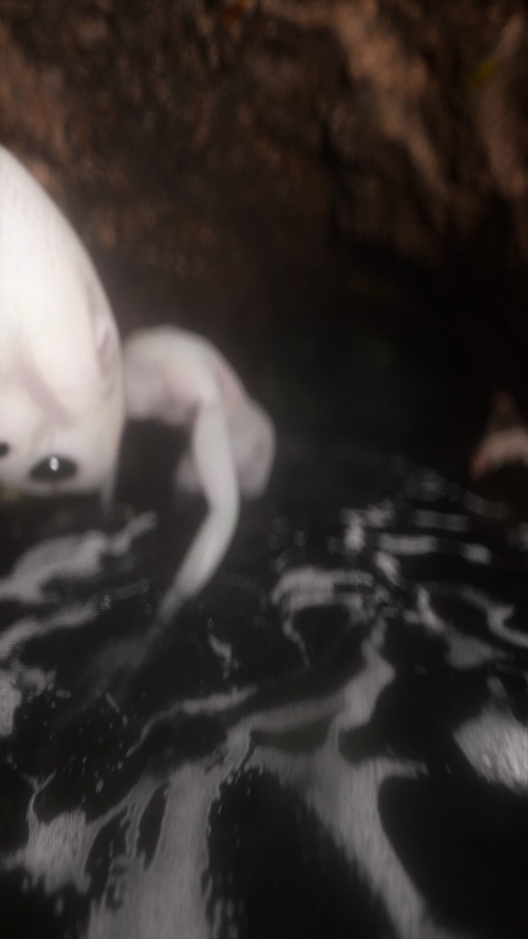 Whitewater-Simulation: Alien im Fluss – Standbild 1