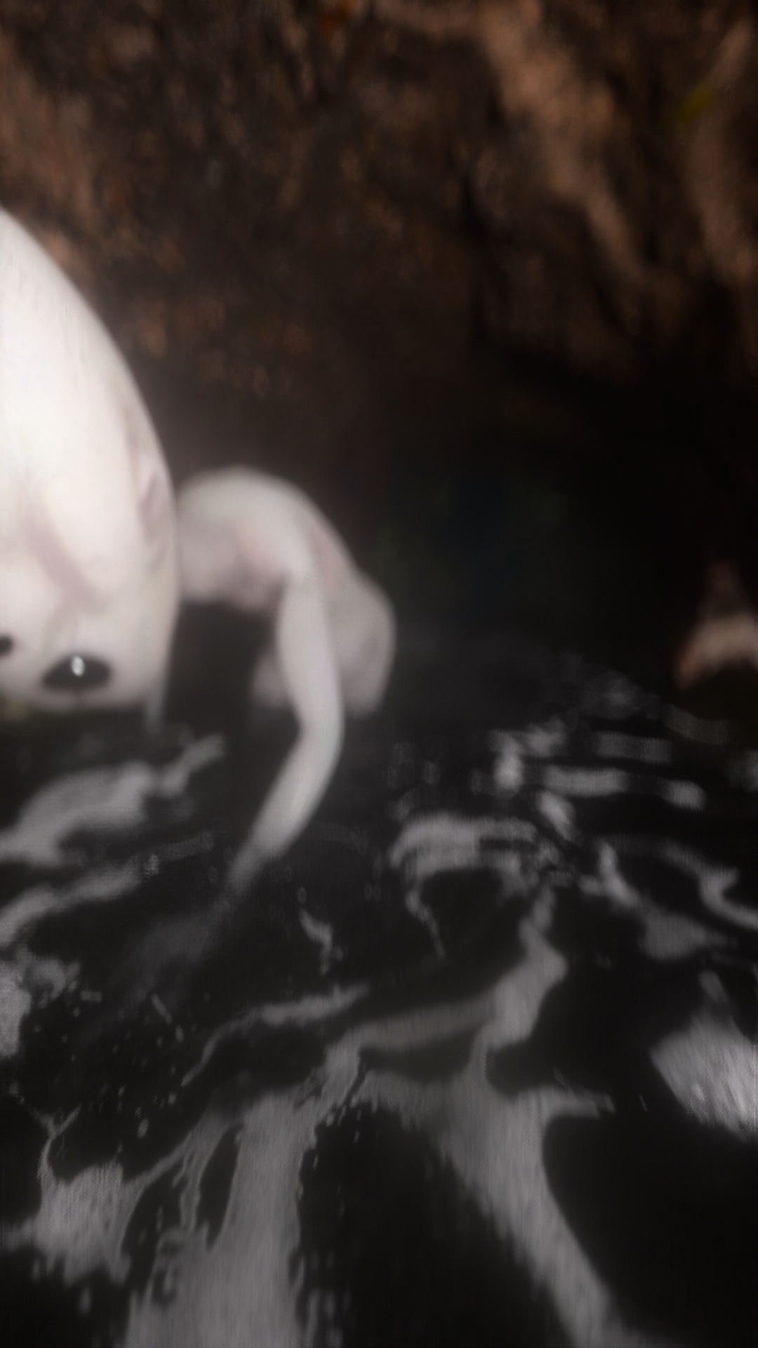 Whitewater-Simulation: Alien im Fluss – Standbild 5